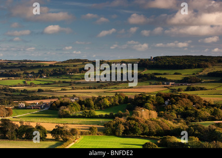 Late evening light from Knowle Hill nr Corfe Castle, Dorset Stock Photo