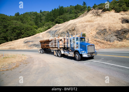 A logging truck carrying redwood and cedar longs on a California coastal highway Stock Photo