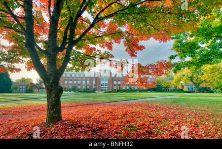 The valley Library and quad with fall color. Oregon State University. Stock Photo