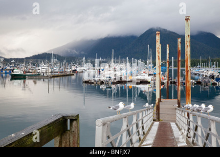 USA; Alaska; Petersburg; Marina Stock Photo