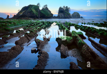 Point of the Arches is located on Shi-Shi Beach in Washington state's Olympic National Park Stock Photo