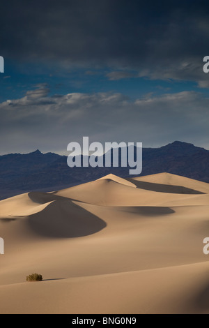 Mesquite Dunes near Stovepipe Wells Death Valley CA USA