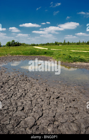 small pond drying out in hot weather Stock Photo