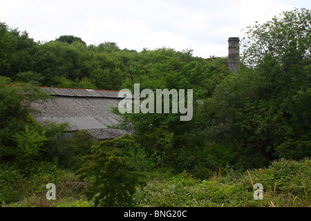 This is an ex China Clay drying facility situated approx 2miles North of St Austell in Cornwall UK. It hasn't been used for a long time. So overgrown. Stock Photo