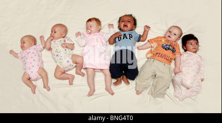 6 babies lying on their backs. Stock Photo