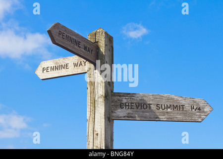 Sign on the Pennine Way pointing out the route along the path to the summit of Cheviot, Northumberland National Park, England Stock Photo