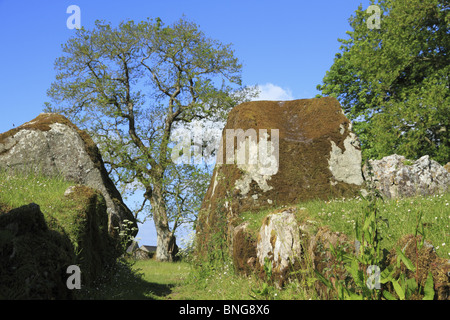 Grange Stone Circle in County Limerick, Rep. of Ireland. Stock Photo