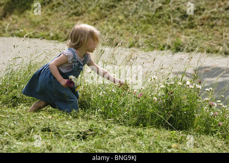 little girl picking wild flowers near the road Stock Photo