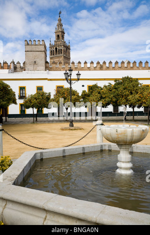 Giralda Tower from beside the water fountain / pond in El Patio de Banderas / Plaza Patio de Banderas, Seville / Sevilla. Spain. Stock Photo