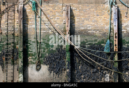 The side of the harbour wall at Whitstable in Kent.  Photo by Gordon Scammell Stock Photo