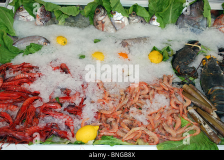 Display of seafood and fish in a chiller cabinet, Garrucha, Almeria Province, Costa Almeria, Andalucia, Spain, Western Europe. Stock Photo