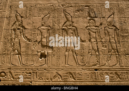 bas relief drawings inside the well preserved cult temple of Horus in Edfu Egypt Stock Photo