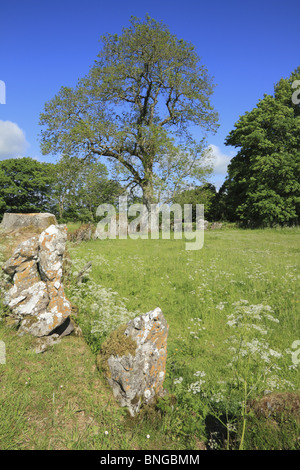 Grange Stone Circle in County Limerick, Rep. of Ireland. Stock Photo