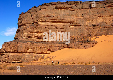 Tuareg nomad leading a white Mehari dromedary in a wadi of the Sahara desert, Libya Stock Photo