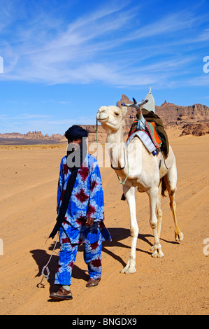 Tuareg nomad leading a white Mehari dromedary witha traditional Tuareg saddle in the desert, Sahara desert, Libya Stock Photo