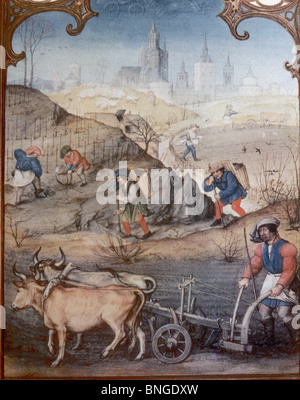 Farmers plowing and sowing. Miniature of 'Grimani Breviary'. Late 15th century. Saint Mark's Library. Venice. Italy. Stock Photo