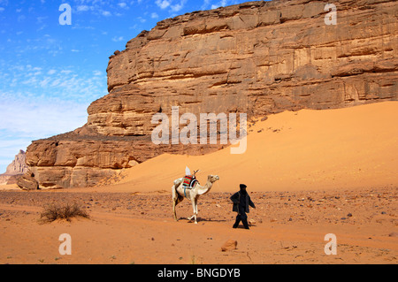 Tuareg nomad leading a white Mehari dromedary in the desert, Sahara desert, Libya Stock Photo