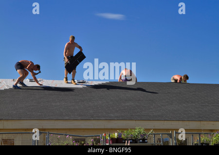 Workmen installing a new roof of asphalt shingle Stock Photo