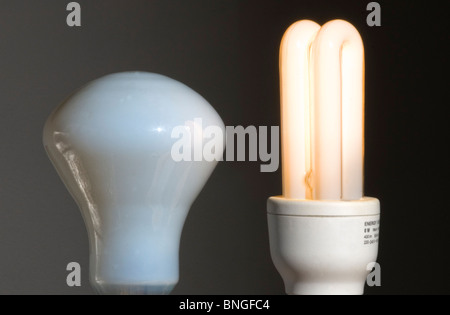 Tungsten bulbs being replaced by low energy bulbs. Stock Photo