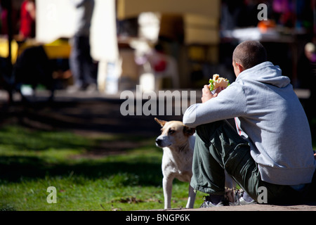 Man eating a sandwich while a stray dog waits for his piece Stock Photo