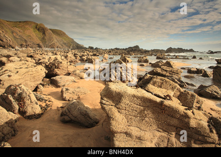 Summers evening -  Duckpool beach, near Bude, North Cornwall, England, UK Stock Photo