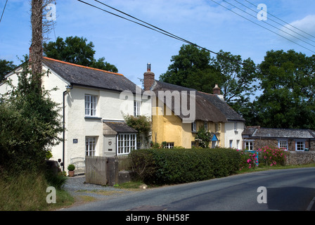 Country cottages with roses around the door in tranquil North Petherwin ,Cornwall on a typical  summers day in the South  West . Stock Photo