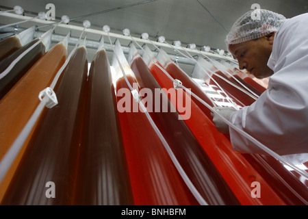 algae being cultivated to produce the antioxidant ...