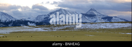 Canada Lethbridge Alberta Rocky Mountains Winter Near Pincher Creek Fields Farming Field Snow Agriculture Landscape Scenery Stock Photo