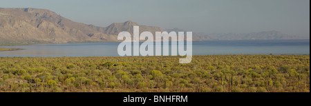 Mexico Mulege Baja California Sur Panorama Bahia Conception South Of Mulege Sea Of Cortez Landscape Scenery Cactus Cacti Plants Stock Photo