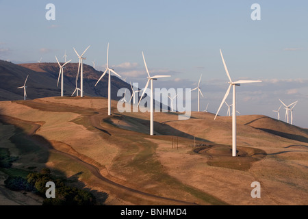 Wind farm, native flora, overlooking The Columbia River Gorge. Stock Photo