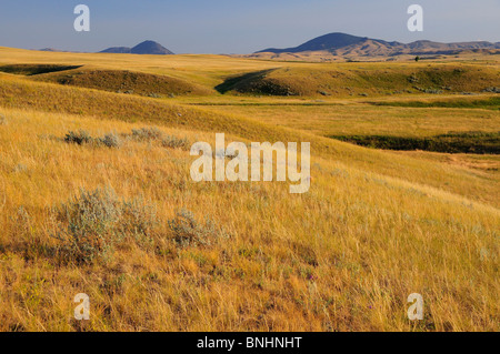 USA Bear Paw Battlefield Nez Perce National Historic Park near Chinook Montana Native americans American natives First nation Stock Photo