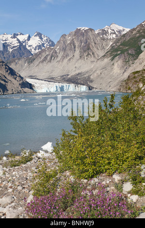 USA; Alaska; Glacier Bay National Park; McBride Glacier Stock Photo