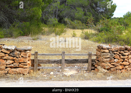 masonry stone wall wooden fence door pine forest Formentera Balearic islands Stock Photo