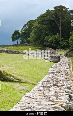 Hadrians Wall, nr  Housesteads, Northumberland Stock Photo