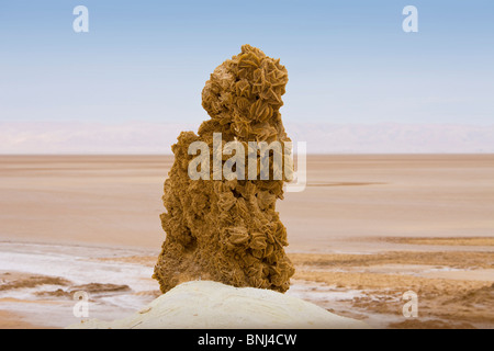 Tunisia Africa North Africa Arabian Arabic Arab dried out lake sea Chott el Djerid desert rose sand rose desert Stock Photo