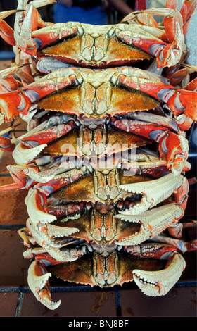 Six fresh Dungeness crabs are stacked up for sale to hungry shoppers at a seafood market on Fisherman's Wharf in San Francisco, California, USA. Stock Photo