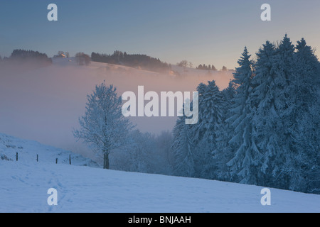 Fürschwendi Switzerland Canton of St. Gallen wood forest dusk evening ...