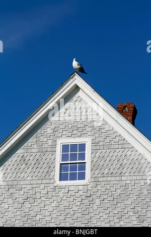 Maine coast Monhegan Island artist colony New England USA remote offshore harbor architecture shingle style seagull triangle Har Stock Photo