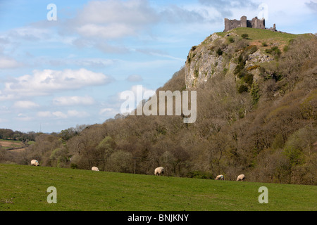 Carreg Cennen Castle near Llandeilo Brecon Beacons National Park Carmarthenshire West Wales UK Stock Photo