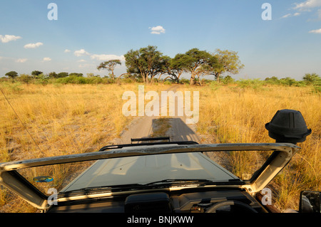 Game Drive Kwando River Bwabwata National Park Susuwe Island Lodge Caprivi Namibia Africa Travel Nature excursion road steppe Stock Photo