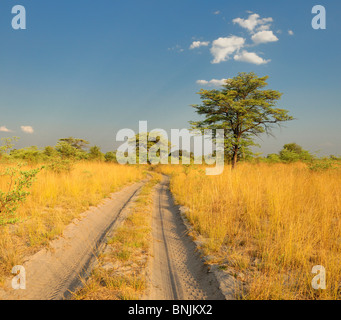 Sandy road Susuwe Island Lodge Bwabwata National Park Caprivi Namibia Africa Travel Nature road steppe savannah gravel Stock Photo