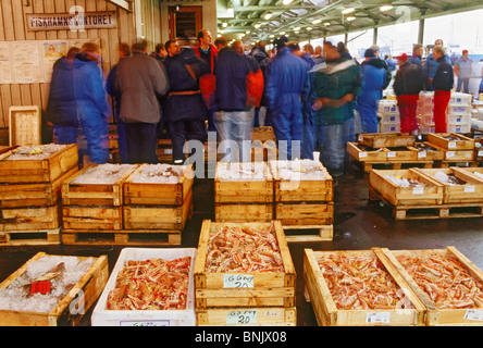 Boxed fresh fish, shrimp and crab being auctioned off from docks of Gothenburg (Goteborg) to markets and restaurants Stock Photo