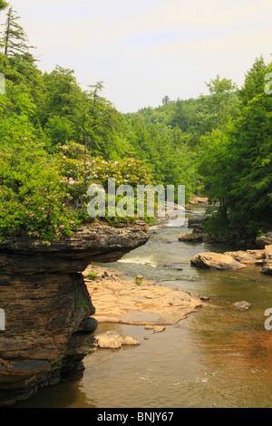 Youghiogheny River, Swallow Falls State Park, Oakland, Maryland, USA Stock Photo