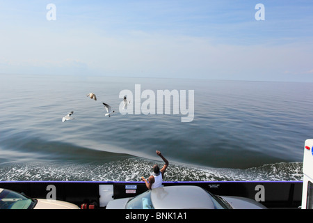 Passenger feeds seagulls on Cedar Island to Ocracoke Ferry, Pamlico Sound, North Carolina, USA Stock Photo