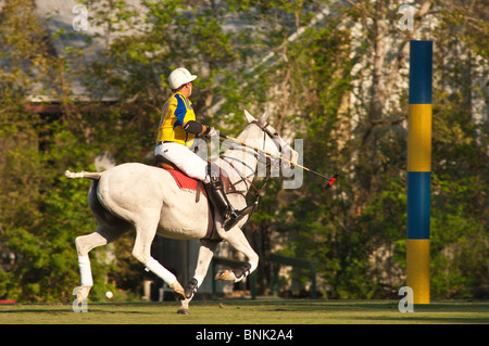 Horses and players at the Houston Polo Club, houston, texas. Stock Photo