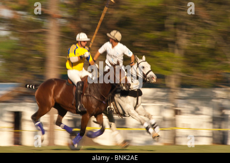 Horses and players at the Houston Polo Club, houston, texas. Stock Photo