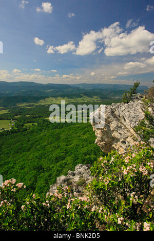 View of Germany Valley and Spruce Knob from North Fork Mountain Trail, Franklin, West Virginia, USA Stock Photo