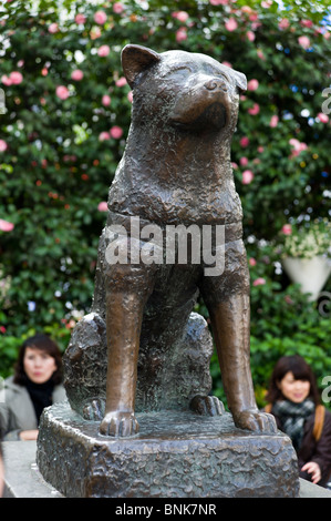 Bronze Statue of Hachiko by Shibuya Station, Tokyo, Japan ...
Hachiko Statue At The Train Station
