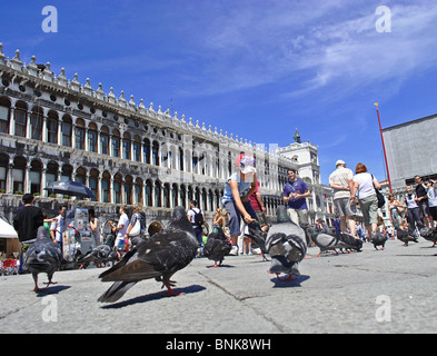 A boy feeds pigeons in St Marks Square, Venice, Italy Stock Photo