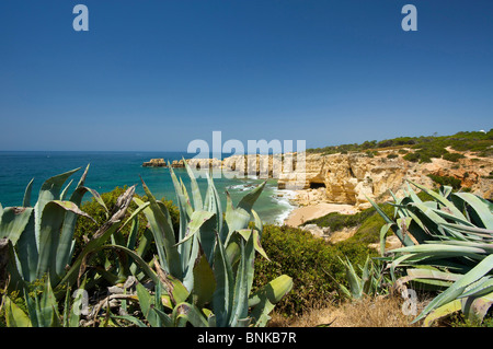 Algarve Portugal rock coast rock coasts coast seashore sea coasts seashore sea coastal scenery coastal sceneries scenery Stock Photo